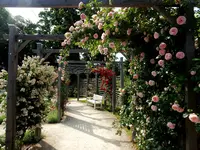 Rosarium Baden - Schloßparterre.webp