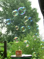 CIMG2853.webp