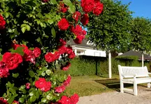 Ein Versenkregner der Fa.RAINBIRD während der Beregnung im Rosarium Baden.jpg