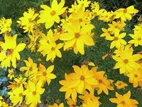 DSCI1783 (2).webp