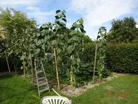 DSC01176.webp
