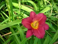 DSCI0575.webp
