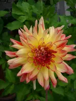 DSCI0571.webp