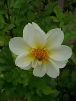 DSCI0573.webp