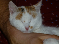 claudia jan.13-03.webp