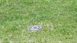 20170729_124718.jpg