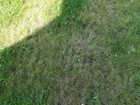 IMG_20170801_113645.webp