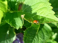 P1010206.webp