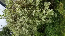 20170801_141814.webp