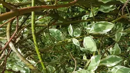 20170801_141820.webp