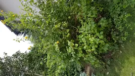20170801_141829.webp