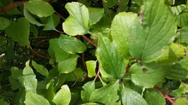 20170801_141834.webp