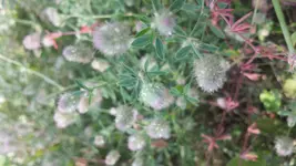 20170731_162509.webp