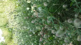 20170731_162324.webp