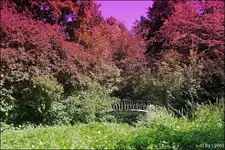 F021.webp