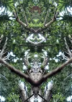 Säuleneibengeist.webp