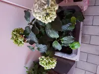 20170801_192621.webp