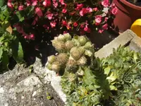 BILD7478.webp