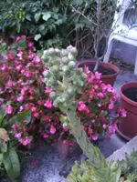 BILD7516.webp