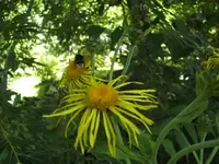 BILD7765.webp