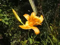 BILD7773.webp