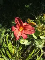 BILD7794.webp