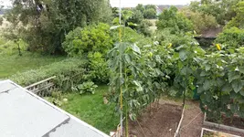 1501664001728-1922626453.webp