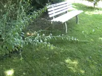 BILD7819.webp