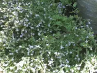 BILD7828.webp