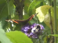 BILD7691.webp