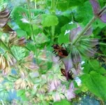P1010020.webp