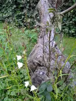 foto0162.webp
