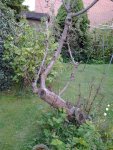 foto0163.jpg