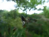 P1070631.webp