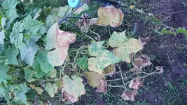 20170802_210627.webp
