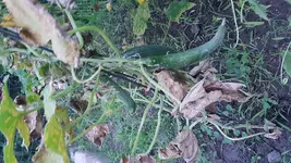 20170802_210636.webp