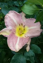 IMG_20170802_222133.JPG