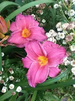 IMG_20170802_222026.webp