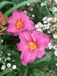 IMG_20170802_222026.JPG