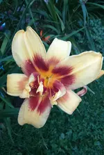 IMG_20170802_222103.JPG