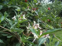 BILD7772.webp