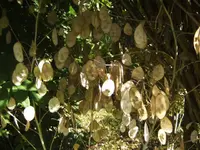 BILD7774.webp
