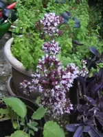 BILD7747.webp