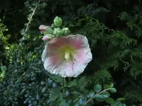BILD7818.webp