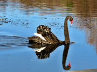 IMG_4455 v (2).webp