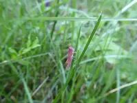 P1070478 - Kopie.webp