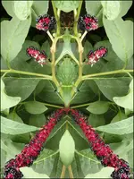 F023.webp