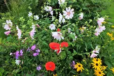 DSCF9720 (2).webp