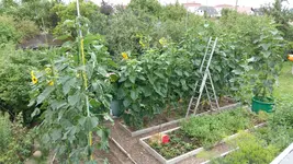 15017523302161505459471.webp