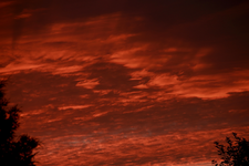 Abendrot_sunset1_1000.JPG
